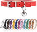 XXS Dog Collar for Teacup Adjustable Teacup Dog Collar for Small Medium Large by Engorgio