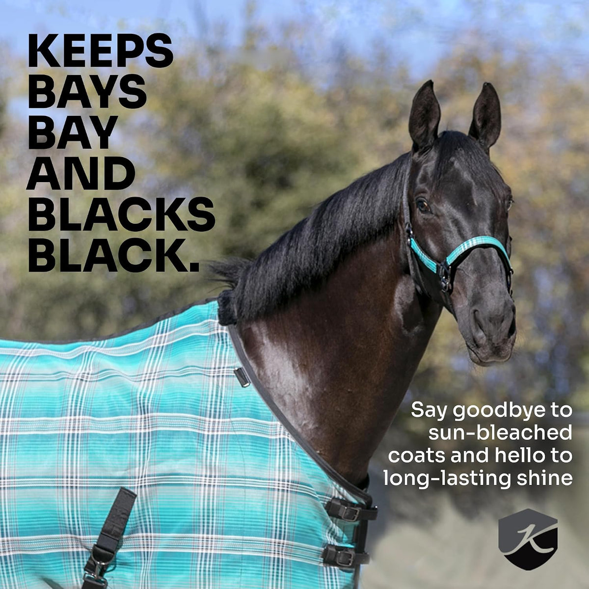 Kensington Breathable and UV Protective Sheet SureFit All Season Protection for Horse - 78", Kentucky Blue