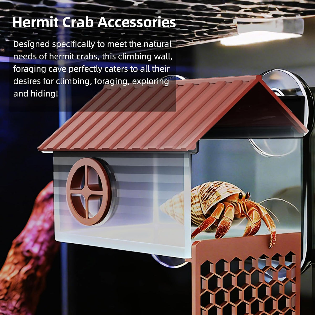 Hermit Crab Accessories | Hermit Crab Climbing Toys with Climbing Wall | Multi-Functional Hermit Crab Hideaway & Foraging Cave with Ladder | Hermit Crab Cage Decorations