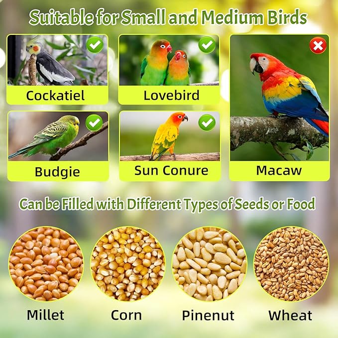 Rypet No Mess Automatic Bird Feeder - Image 5