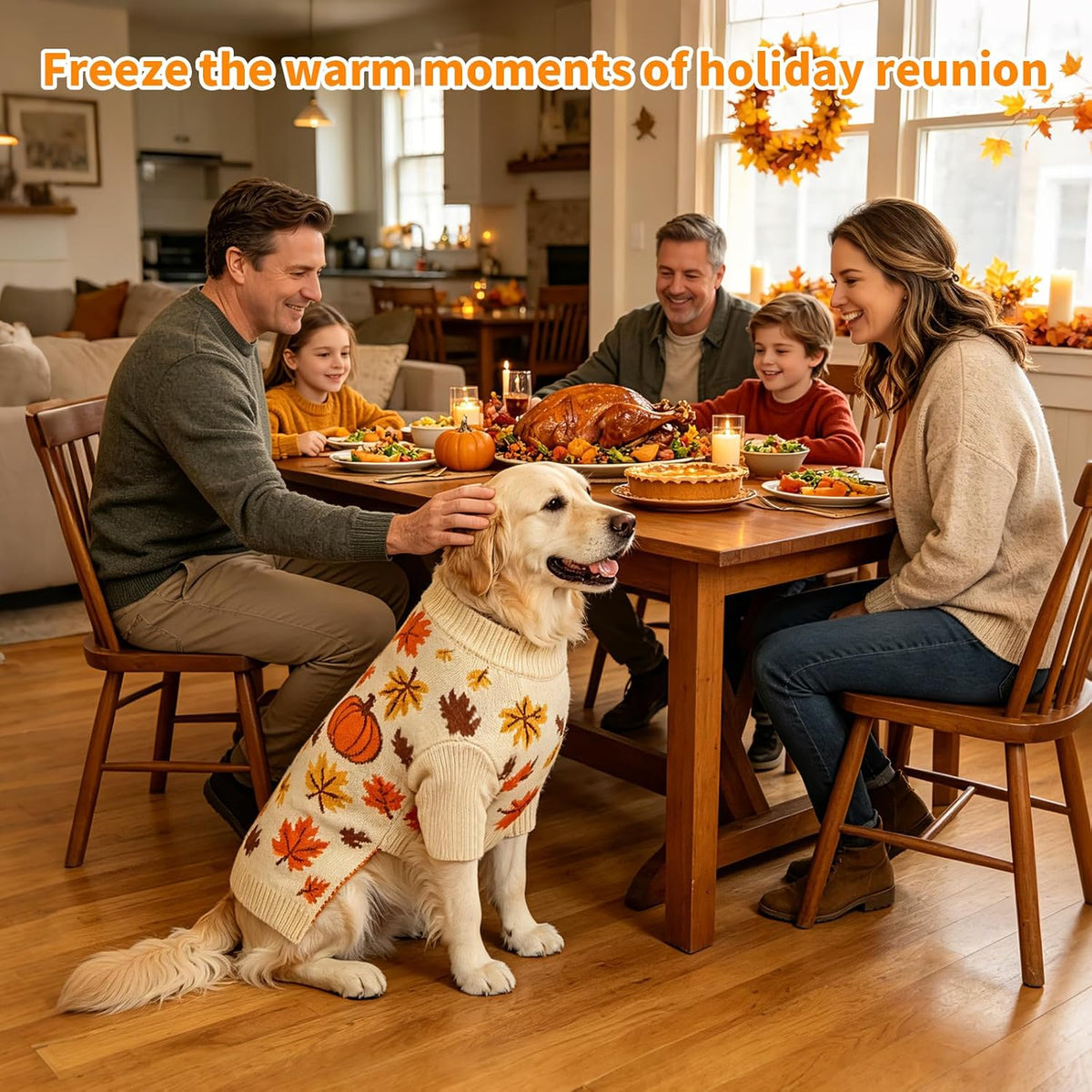Thanksgiving Dog Sweater, Pumpkin Maple Leaf Fall Pattern, XL