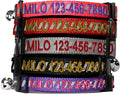 Pawtitas Personalized Pink Reflective Cat Collar – Adjustable Custom Collar by Pawtitas