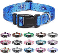 Mercano Adjustable Dog Collar by Unknown