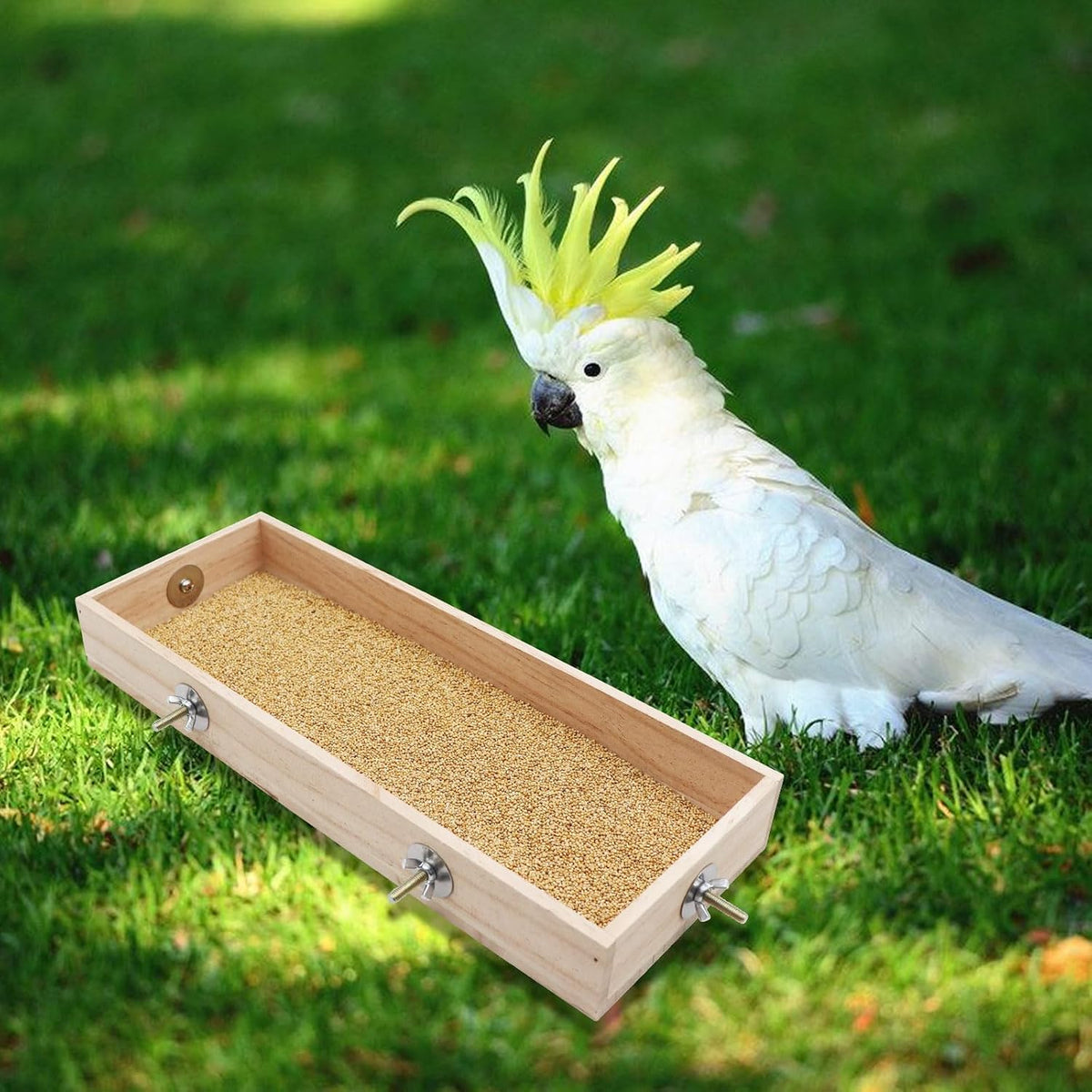 Bird Feeding Cups, Natural Wooden Parrot Perch Stand, Birds Food Dish, Parakeets Feeder Bowl, Cage Accessories for Small Animals Rat Hamster Guinea Pig Chinchillas Budgies Cockatiels Love Birds