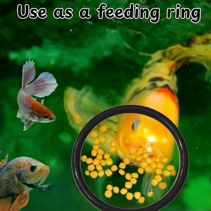 Betta Ring and Mirror Toy for Aquarium, Floating Exercise Mirrors for Fish Tank - Image 5