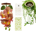 Jumping Spider Accessories Kit, Suitable for Enrichment Hideouts for Small Insects