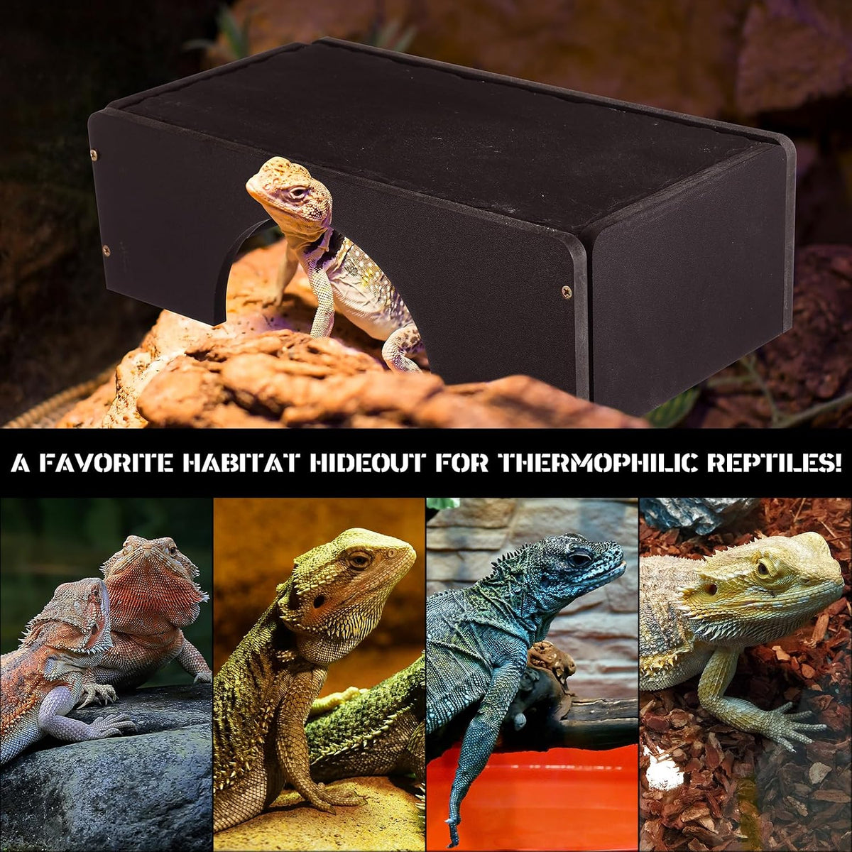 Weysat Large Bearded Dragon Basking Platform Reptile Hide Cave, 12.6x7x3 in