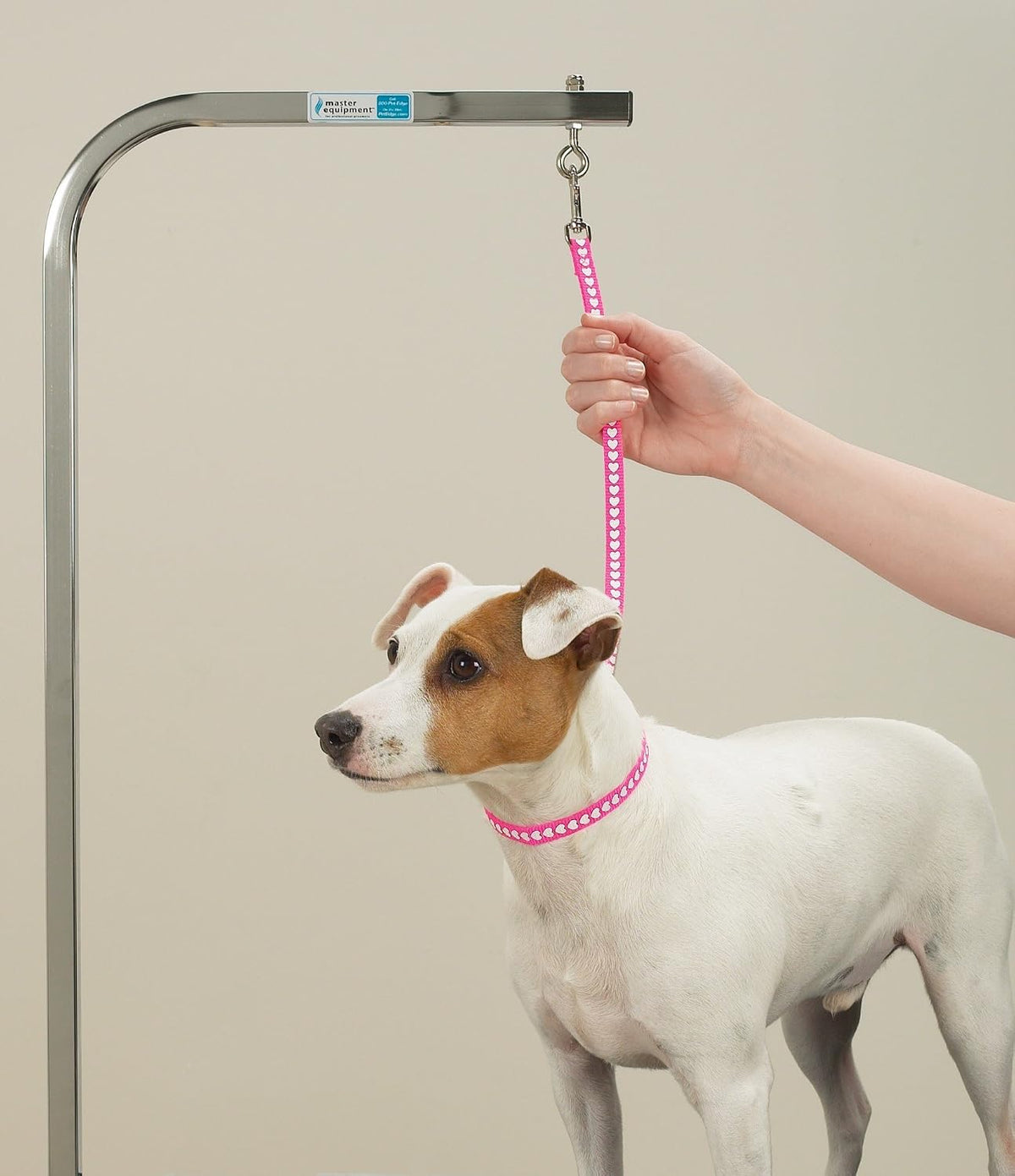 Top Performance Nylon Basic Screen Printed Pet Grooming Loop, 18-Inch, 4-Pack