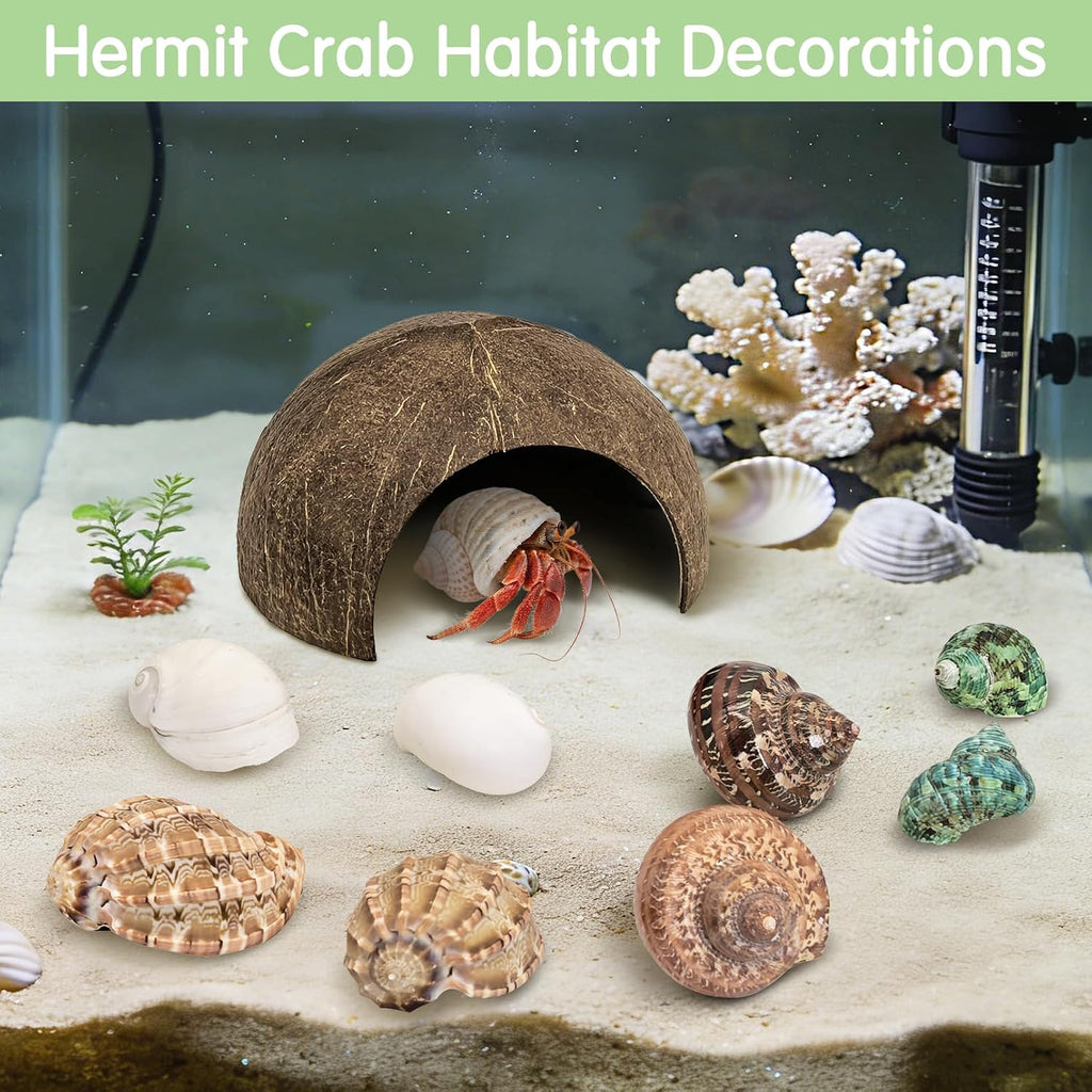 kathson Hermit Crab Accessories,2 Pcs Hermit Crab Coconut hut and 8 Pcs Assorted Turbo Shells, Natural Hermit Crab Habitat Decoration Tank Supplies Hideout