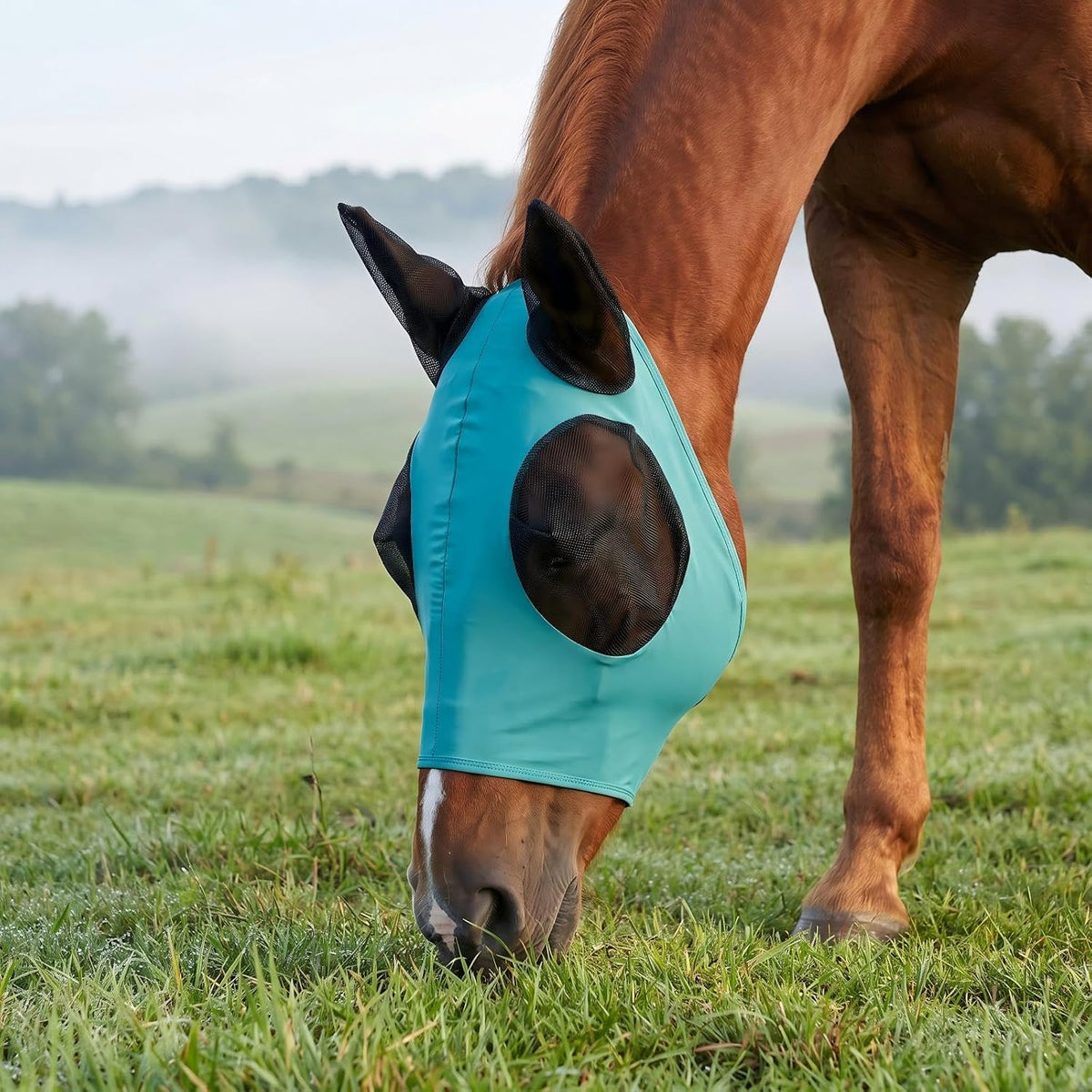 Horse Fly Mask – Nylon-Spandex Face with Breathable Mesh Eyes & Ears, UV Protection Soft Edging Prevents Chafing, Durable & Easy to Clean for Horses & Ponies, Size M