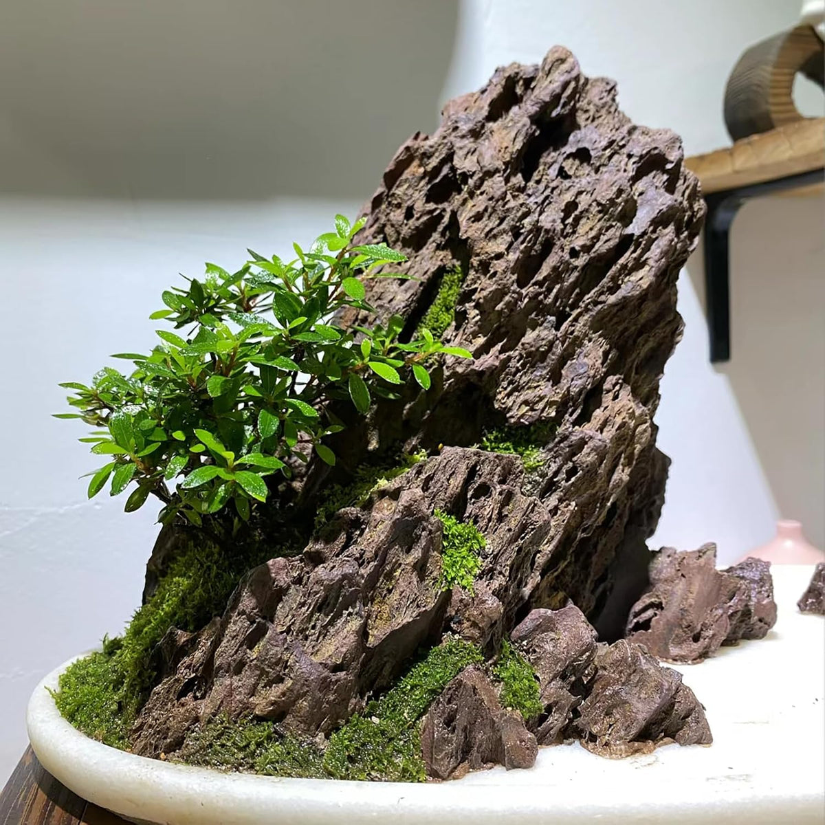 Aquarium Rocks 5lb Dragon Stone for Aquariums Aquascaping Landscaping Model Fish Tanks Terrariums Vivariums Decoration Paludarium Amphibian Enclosures-2-4 Inches