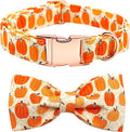 Dog Collar - Halloween Pumpkin Bowtie Dog Collar Gift Soft Bow Collar Pet by BoboRainbow