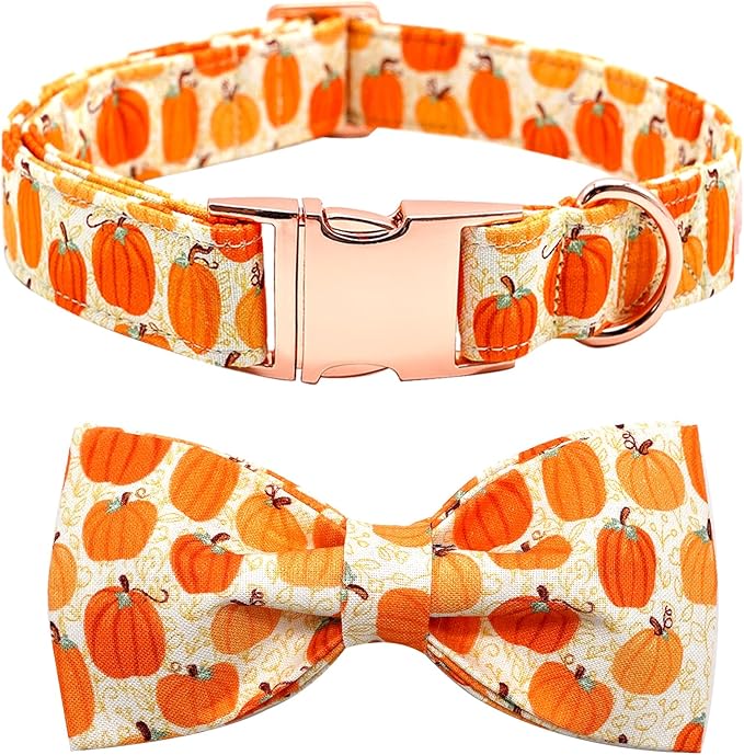 Dog Collar - Halloween Pumpkin Bowtie Pet Collar Gift Soft Bow Collar Pet by BoboRainbow