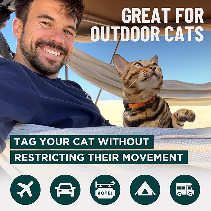 OutdoorBengal Green Breakaway Kitten Collar - Image 8