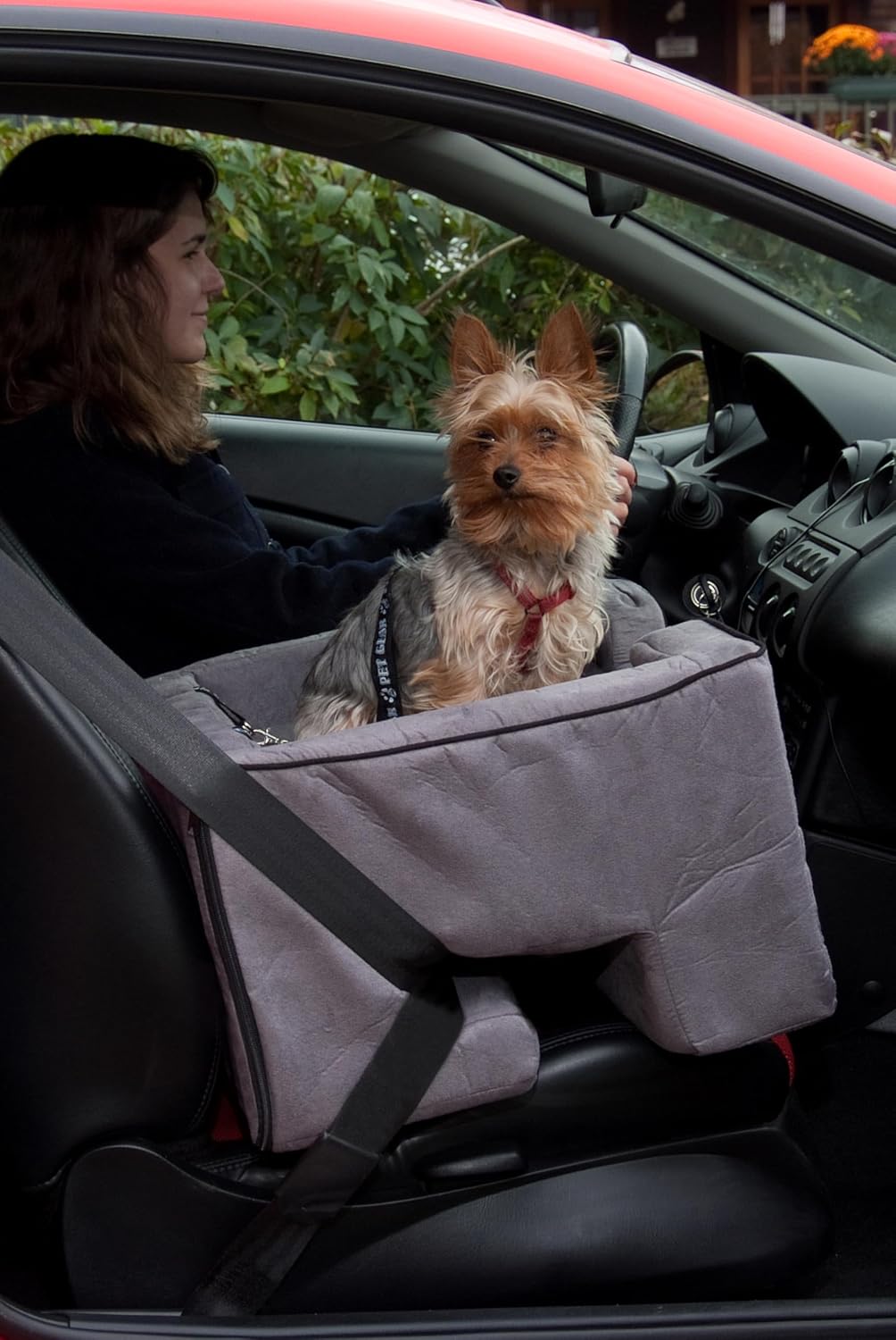 Pet Gear Lookout Booster Car Seat, Grey