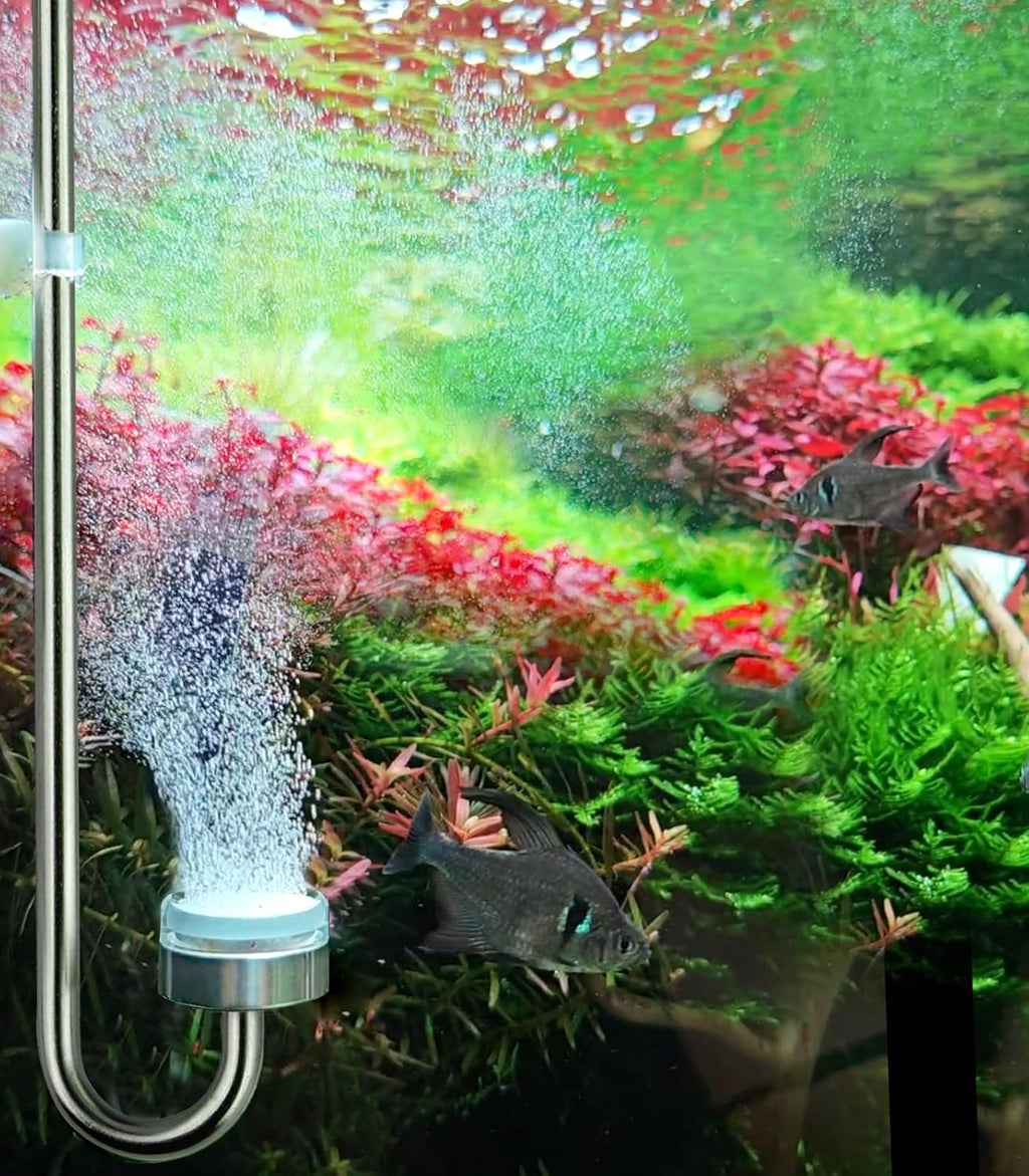 Aquarium Stainless Steel CO2 Atomizer for Rimless Tanks, DC300-20