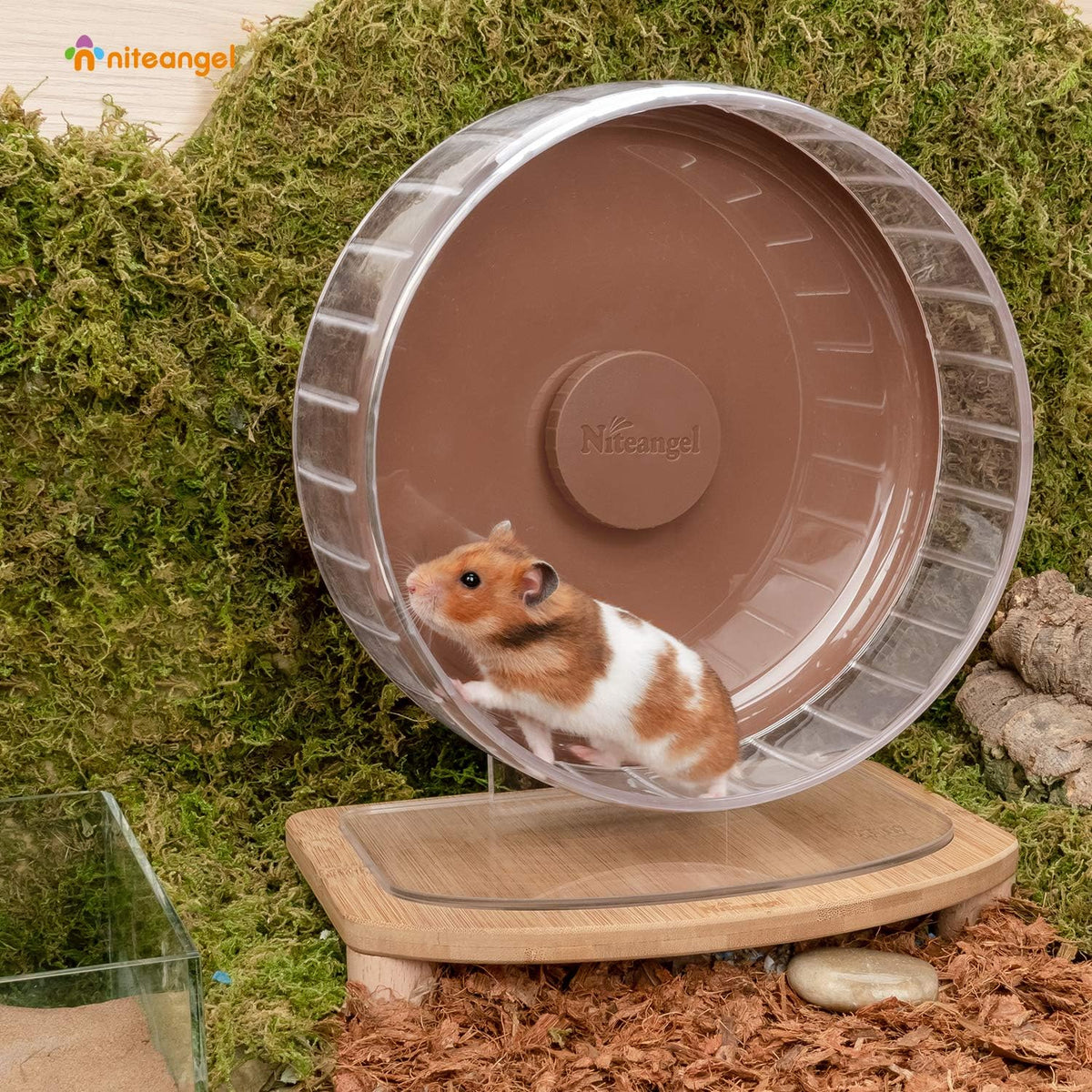 Niteangel Super-Silent Hamster Exercise Wheels: Quiet 10 inch Running Wheel