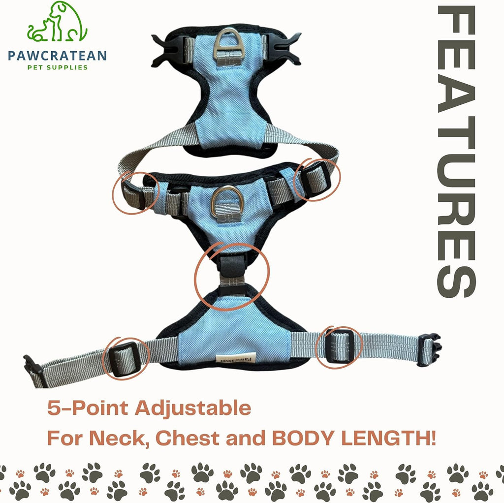 Cat 5-Point Adjustable Harness and Leash Set, Sky Blue Polyester, 5-Point Adjustable Vest with Reflective Lines Prefect for Outdoor Soft Comfortable (Medium)