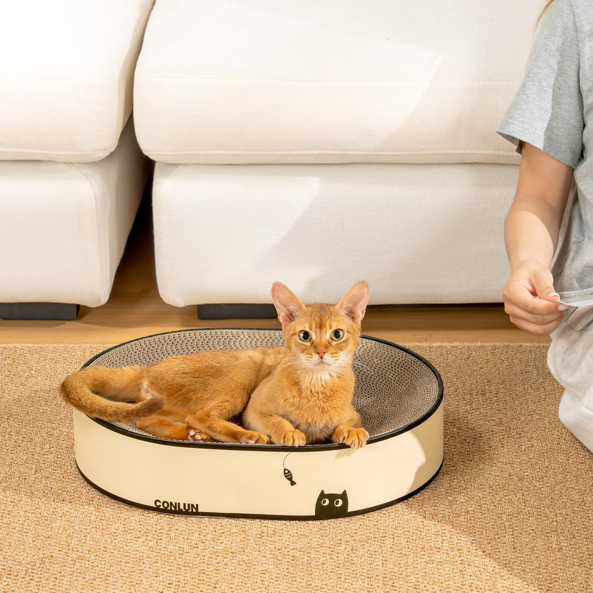 Conlun Oval Cat Scratcher Bed | Scratching Bowl Lounge for Kittens | Medium