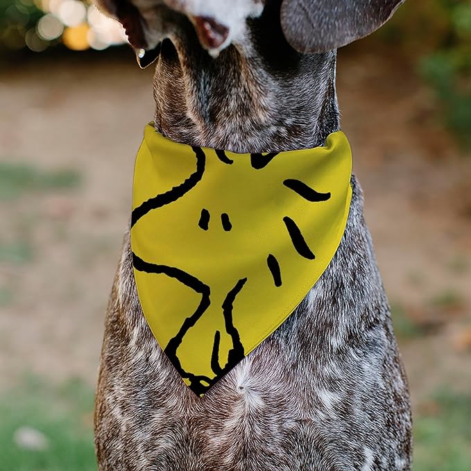 Peanuts Pet Bandana Peanuts Woodstock Pose Close Up Yellow Slip On Collar - Image 4