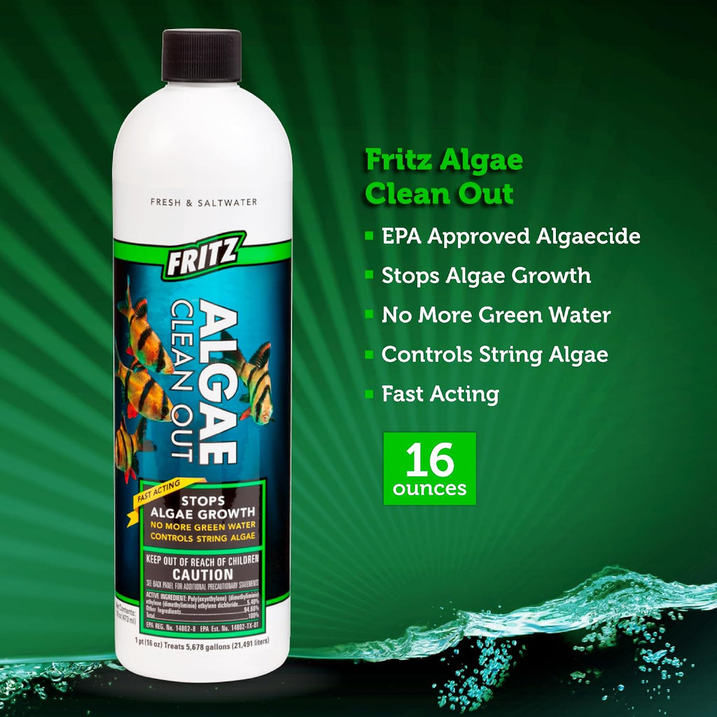 Fritz Aquatics Algae Clean Out - Algaecide for Fresh and Salt Water Aquariums, 16 oz