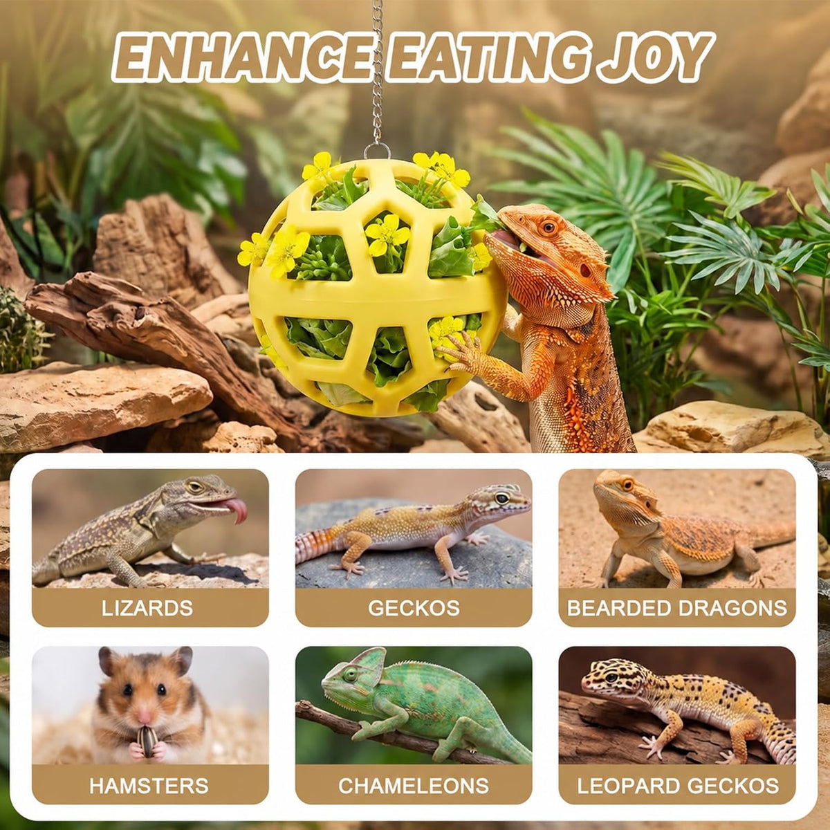 19 Pcs Bearded Dragon Vegetable Feeder Ball, Reptile Enrichment Toys