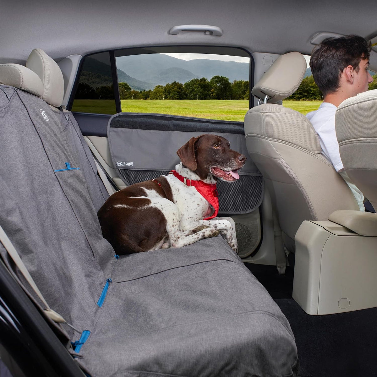 Kurgo Rover Car Door Guard, Charcoal