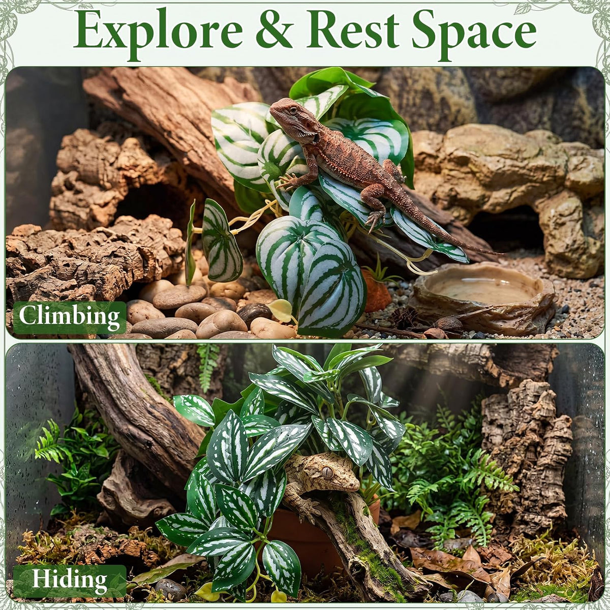 Suncalla 4 Pack Reptile Plants for Terrarium, Multiple