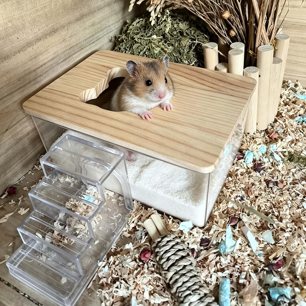 Hamster Sand Bath Box,Transparent Small Animal Bathroom & Digging Container