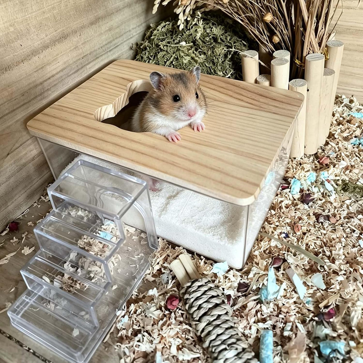 Hamster Sand Bath Box,Transparent Small Animal Bathroom & Digging Container