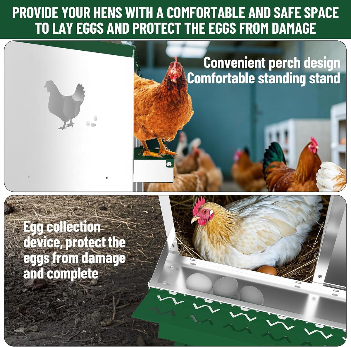 Chicken Nesting Box, 10 Holes Nesting Boxes for Chicken with Bracket Legs, Easy Egg Collection, Easy Cleaning, Chicken Laying Boxes for Chicken Coop Hens, Green