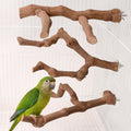3PCS Natural Grapevine Bird Perch Set for Cage, Parakeet Cage Accessories