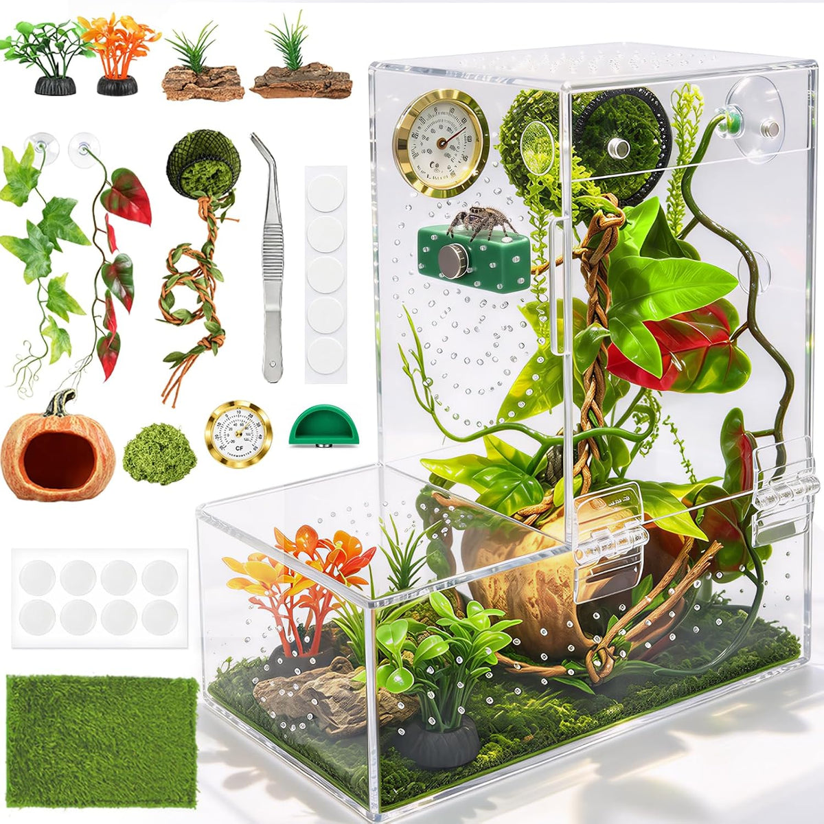 Large Jumping Spider Enclosure Kit for Spiders Manti Snail & Small Reptiles
