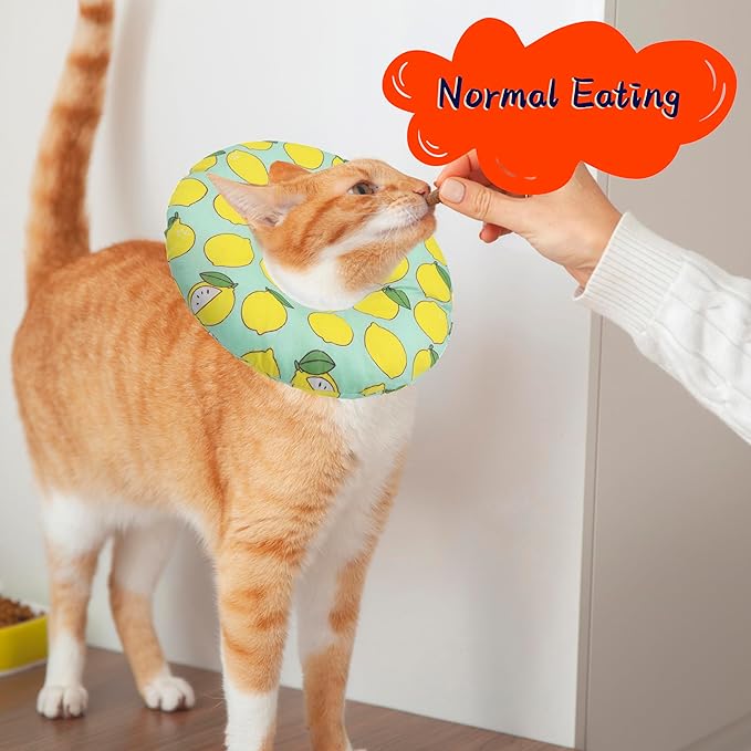 Cat Cone Collar Soft, Adjustable Cat Recovery Collars Kitten Cones to Stop - Image 4