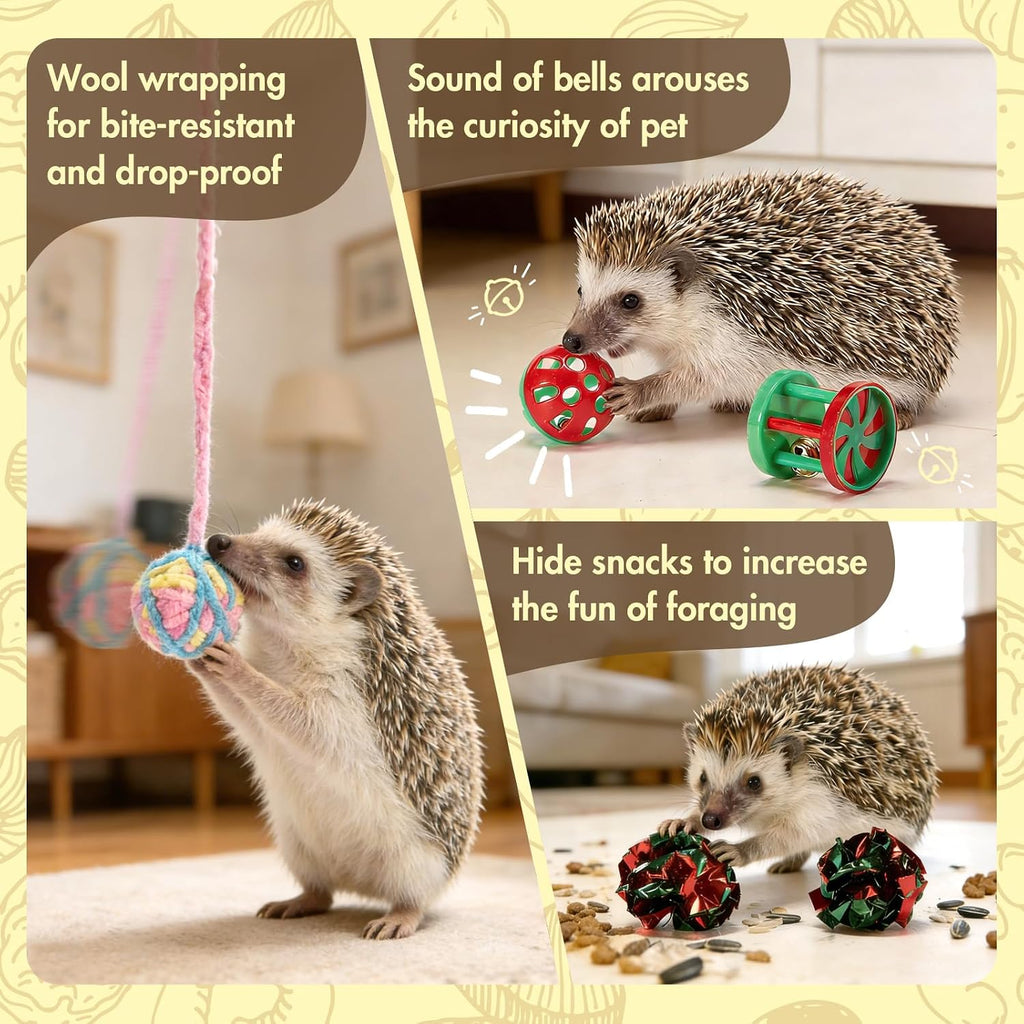 Dig-Box Tray for Hedgehog, Multi-Type Hedgehog Enrichment Set