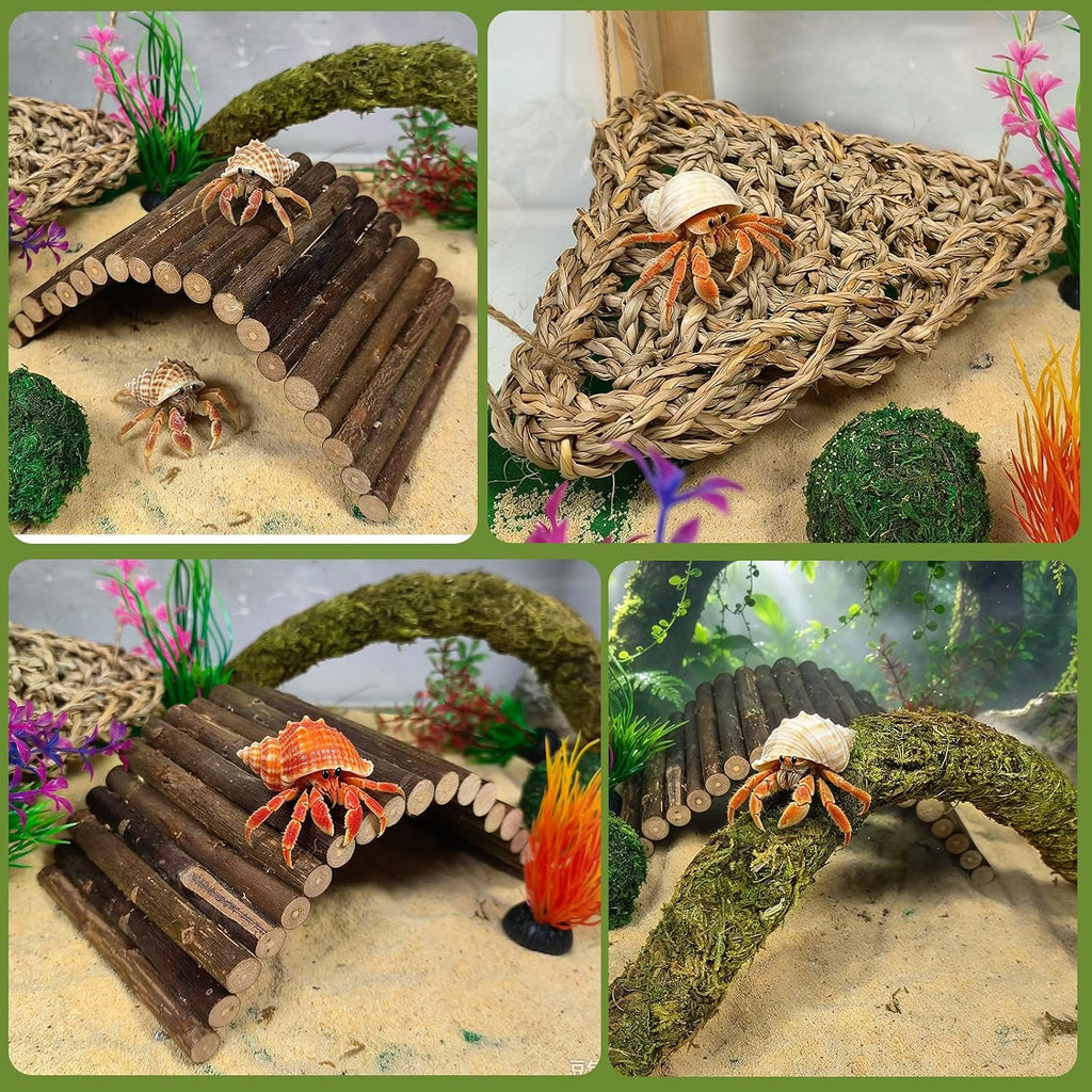 Hermit Crab Accessories,Flexible Moss Pole with Bridges Reptile Hammock