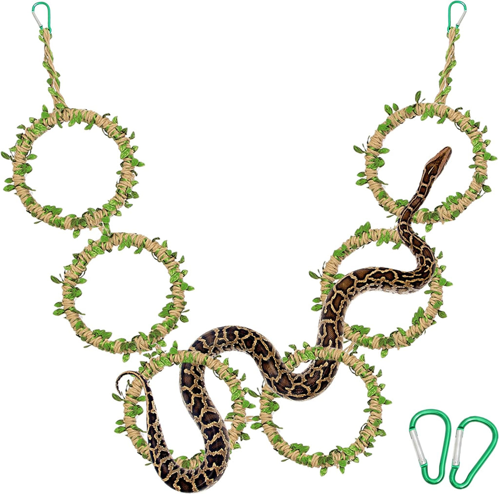 Snake Climbing Rings for Ball Python & Corn Snake, Reptile Toys