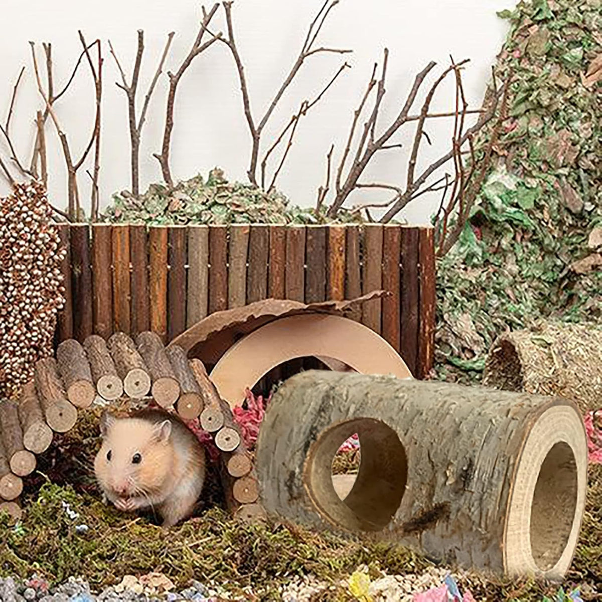Wooden Hamster Tunnel Natural Birch Wood Tree Holes Tube Small Animal Hollow Trunk Hideout Exercise Dwarf Mice Chew Toys Cage Accessories for Chinchillas Guinea Pigs Dwarf Mouse Rat(10Pcs)