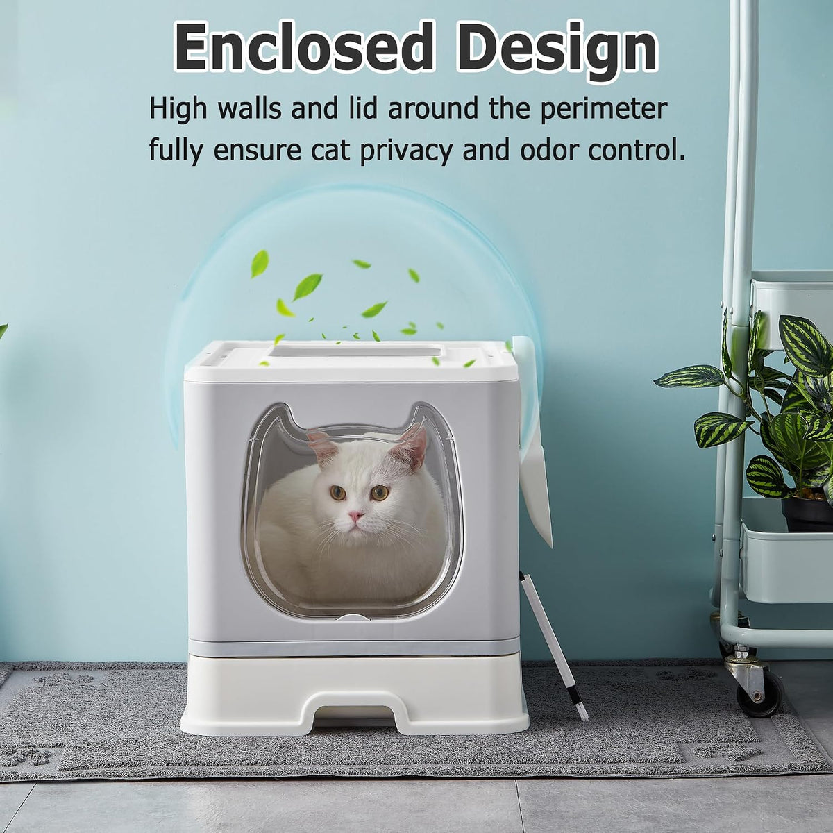 Cat Litter Box with Lid, Top Entry Kitten Litter Box with Controlled Access, Covered Enclosed Cat Potty Odor Control for Small to Medium Cats, Scoop and Clean Brush Included (Grey)