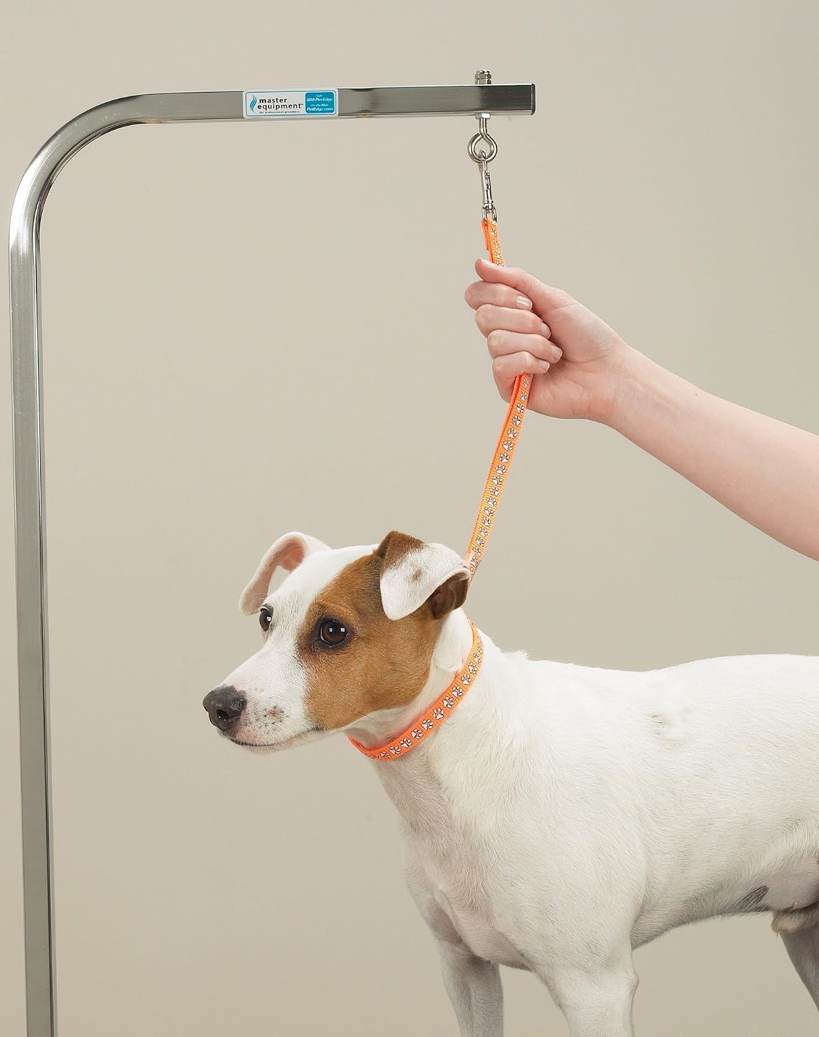 Top Performance Nylon Basic Screen Printed Pet Grooming Loop, 18-Inch, 4-Pack