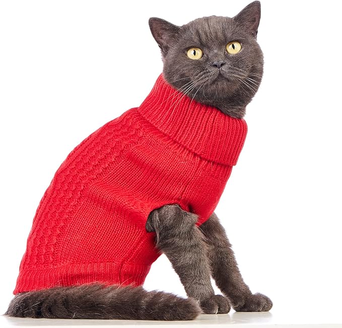 Stretchy Cat Sweater - Image 3