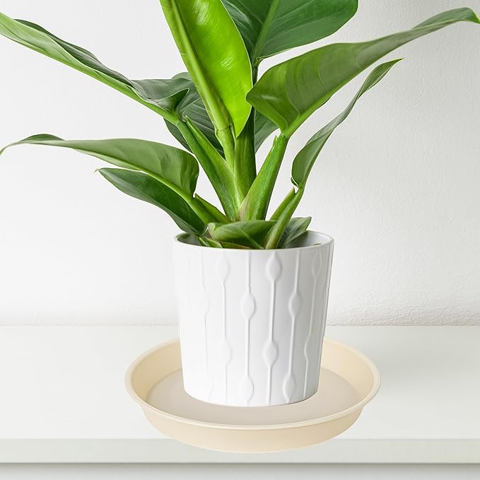 2 Pack of 14 inch Plant Saucers Bird Bath Bow Round, Plastic Plant Saucer Tray - Image 5