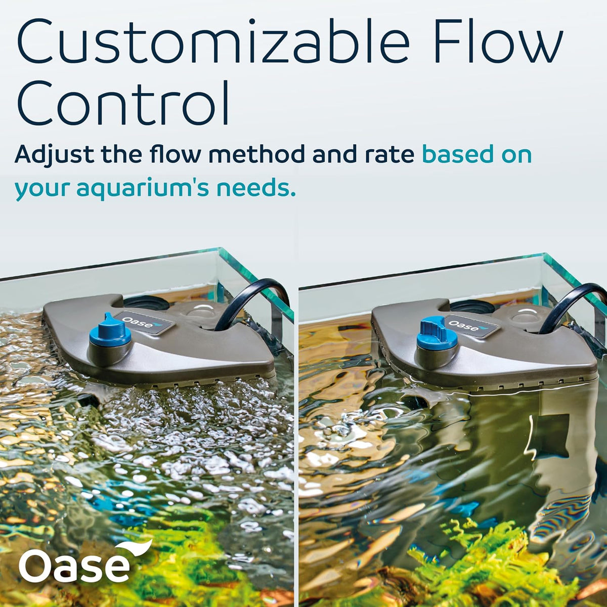 Oase BioPlus 50 Compact Internal Filter for Clean & Clear Aquarium Water – Easy Maintenance, Discreet Corner Mount, for Freshwater Tanks up to 15 Gallons