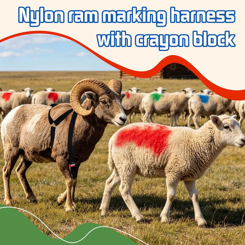 Ram Marking Harness Adjustable 28–39" Chest for Sheep & Goat, 3 Crayons