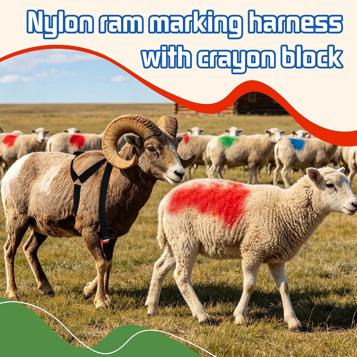 Ram Marking Harness Adjustable 28–39" Chest for Sheep & Goat, 3 Crayons