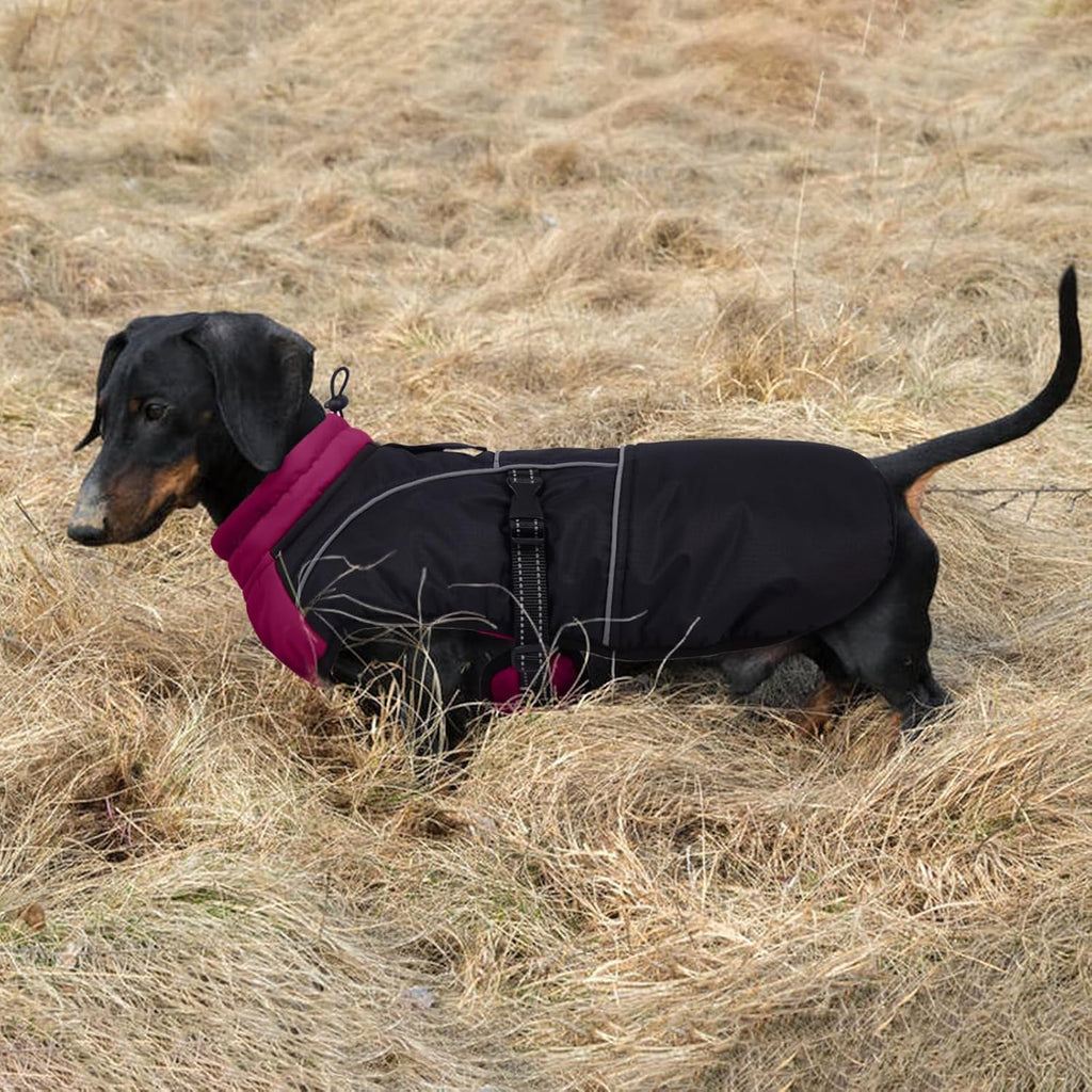 Lelepet Dachshund Coat Waterproof Reflective Dog Coat for Small Dogs