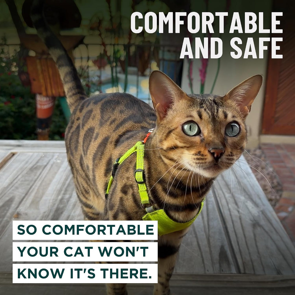 Always On™ Martingale Cat Harness (Neon Reflective, M/L)