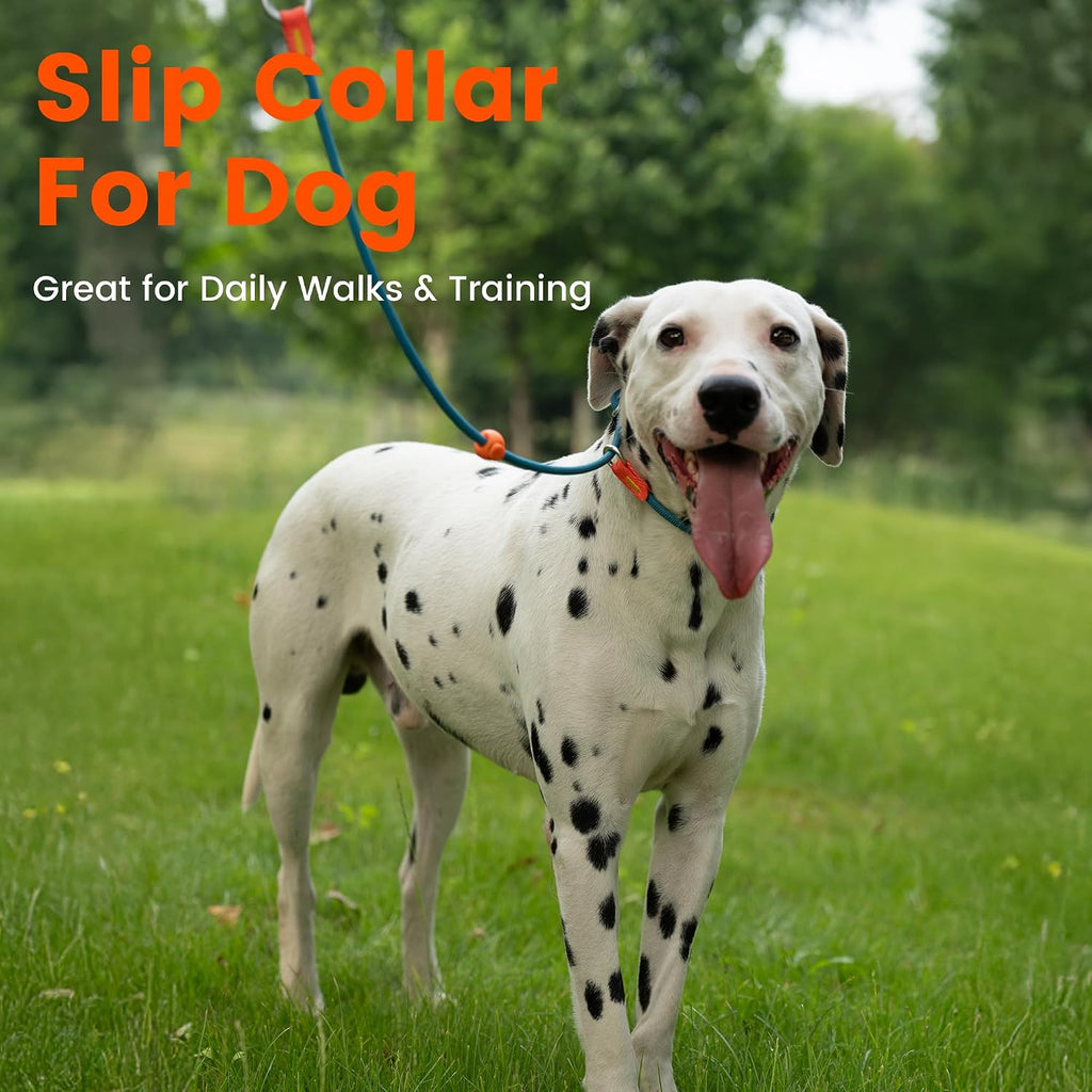 HowGo Slip Collar for Dogs,Adjustable Martingale Collar(Lavender,L)