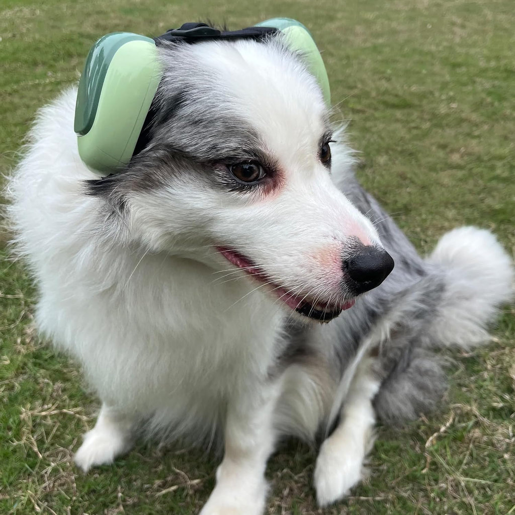 derYEP Dog Earmuffs GEN2 for Hearing Protection 30dB NRR Ear Muffs Noise Protection (Medium, Nocturne Grey)