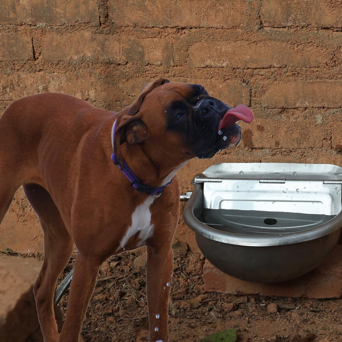 Automatic Dog Water Bowl Dispenser Large Pet Waterer Feeder Stainless-Steel